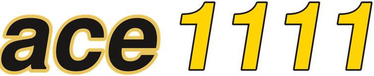 ace1111 logo